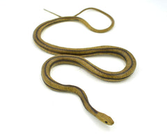 MameJo Lifelike Rubber Replica Yellow Rat Snake 48