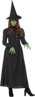 Karnival Costumes Storytime Evil Wicked Witch Women's Costume - Medium 10 - 12