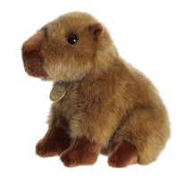 Aurora Miyoni Capybara Stuffed Animal 10 Inch – Realistic Plush Toy with Lifelike Details for Kids, Décor and Gifts