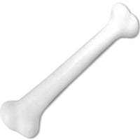 The Mardi Gras Krewe Jumbo Plastic Human Bone | Halloween Props Fake Bones for Cavewoman and Caveman Accessories