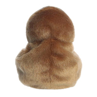 Aurora® Adorable Palm Pals™ Kiri Kiwi™ Stuffed Animal - Fun Collectible Plush for Kids and Adult Collectors - Perfect for Decorating Rooms and Birthday Gifts - Brown 5 Inches