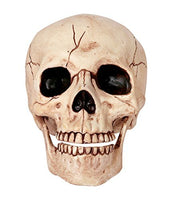 Crazy Bonez Skeleton Skull with Moveable Jaw – Realistic Life-Size Halloween Decoration | Durable Bone Replica for Indoor/Outdoor Décor | Spooky Haunted House Prop