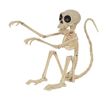 Crazy Bonez Small Skeleton Monkey – Realistic Mini Poseable Skeleton Animal for Halloween Décor | Durable Indoor/Outdoor Decoration | Funny Spooky Monkey Skeleton Figurine