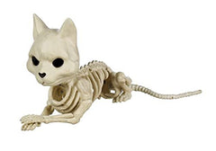 Crazy Bonez Cute Skeleton Cat – Adorable & Spooky Poseable Halloween Decoration | Durable Bone Cat Figurine for Indoor & Outdoor Décor | Funny Skeleton Pet Prop for Haunted Houses & Parties