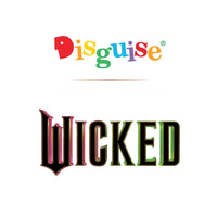 Disguise Wicked Elphaba Hat, Official Wicked Movie Elphaba Witch Hat Costume Accessory, One Size