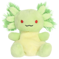 Aurora Palm Pals 5