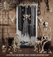 Crazy Bonez Cute Skeleton Cat – Adorable & Spooky Poseable Halloween Decoration | Durable Bone Cat Figurine for Indoor & Outdoor Décor | Funny Skeleton Pet Prop for Haunted Houses & Parties